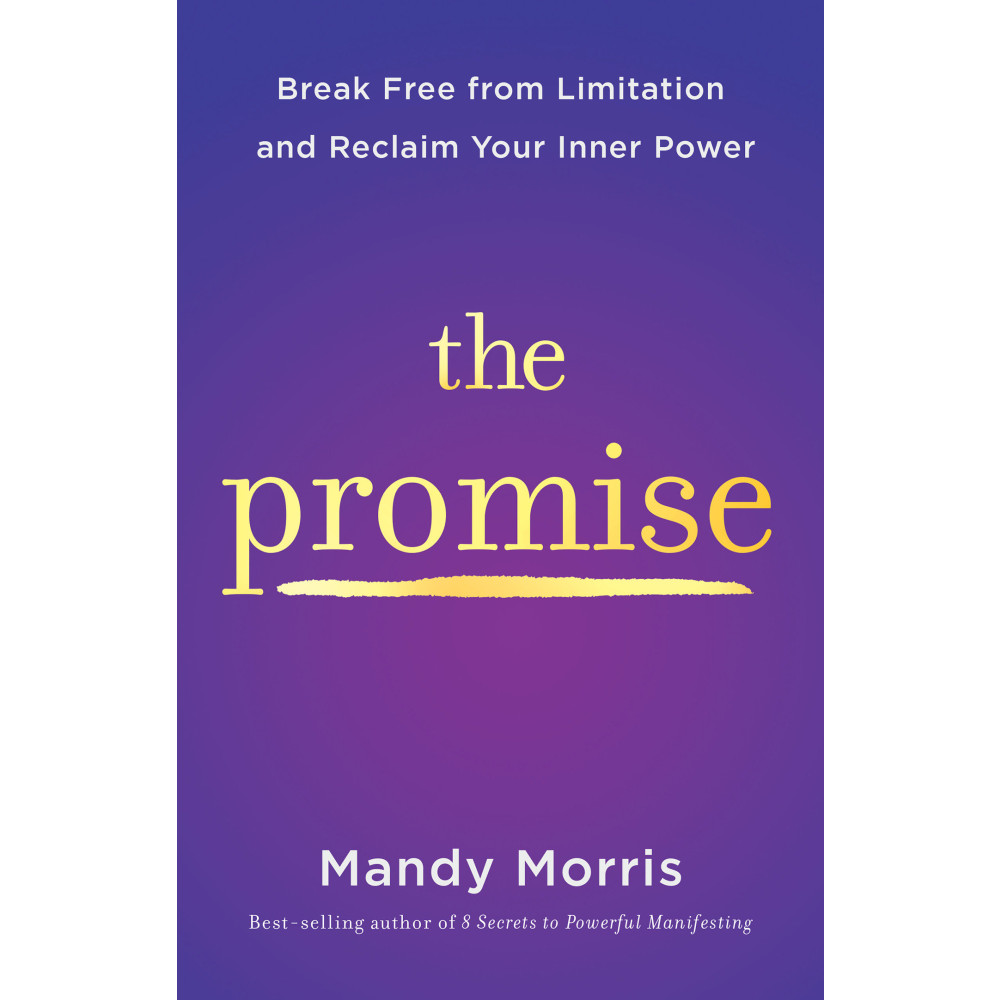 Produktbild för The Promise (inbunden, eng)