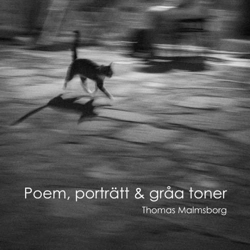 Thomas Malmsborg Poem, porträtt & gråa toner (inbunden)