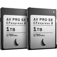 Produktbild för Angelbird CFexpress Type B Match Pack for Fujifilm AV PRO SE 1 TB  | 2 PACK