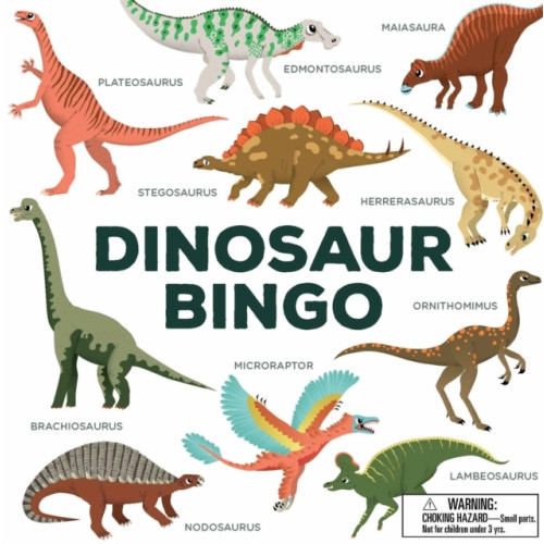 Selmes Caroline Dinosaur Bingo
