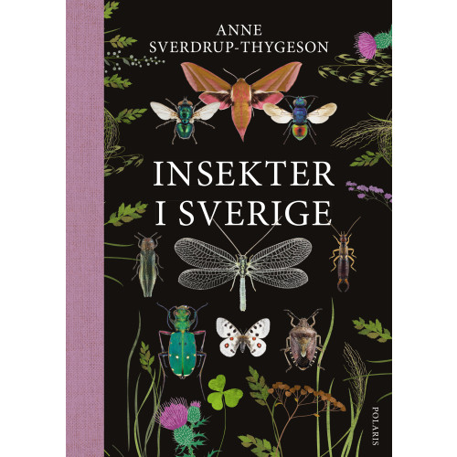 Anne Sverdrup-Thygeson Insekter i Sverige (inbunden)