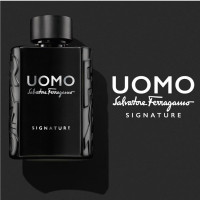 Produktbild för Uomo Signature Edp 100ml