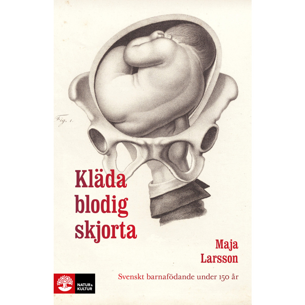 Produktbild för Kläda blodig skjorta : svenskt barnafödande under 150 år (häftad)