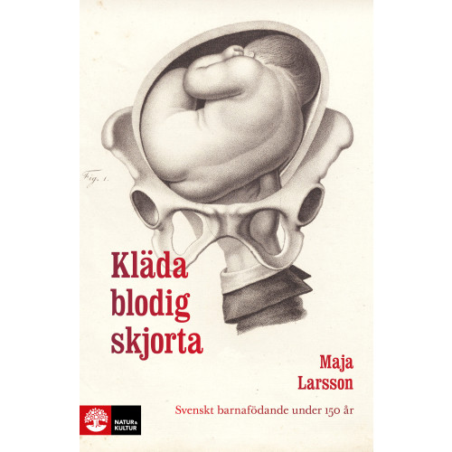 Maja Larsson Kläda blodig skjorta : Svenskt barnafödande under 150 år (häftad)
