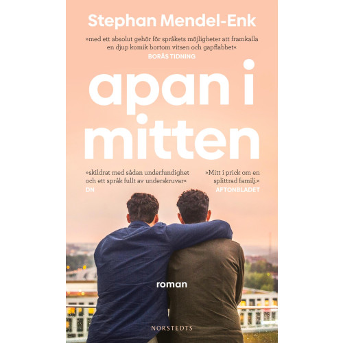 Stephan Mendel-Enk Apan i mitten (pocket)