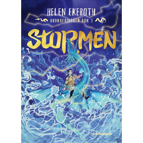 Helen Ekeroth Stormen (bok, kartonnage)