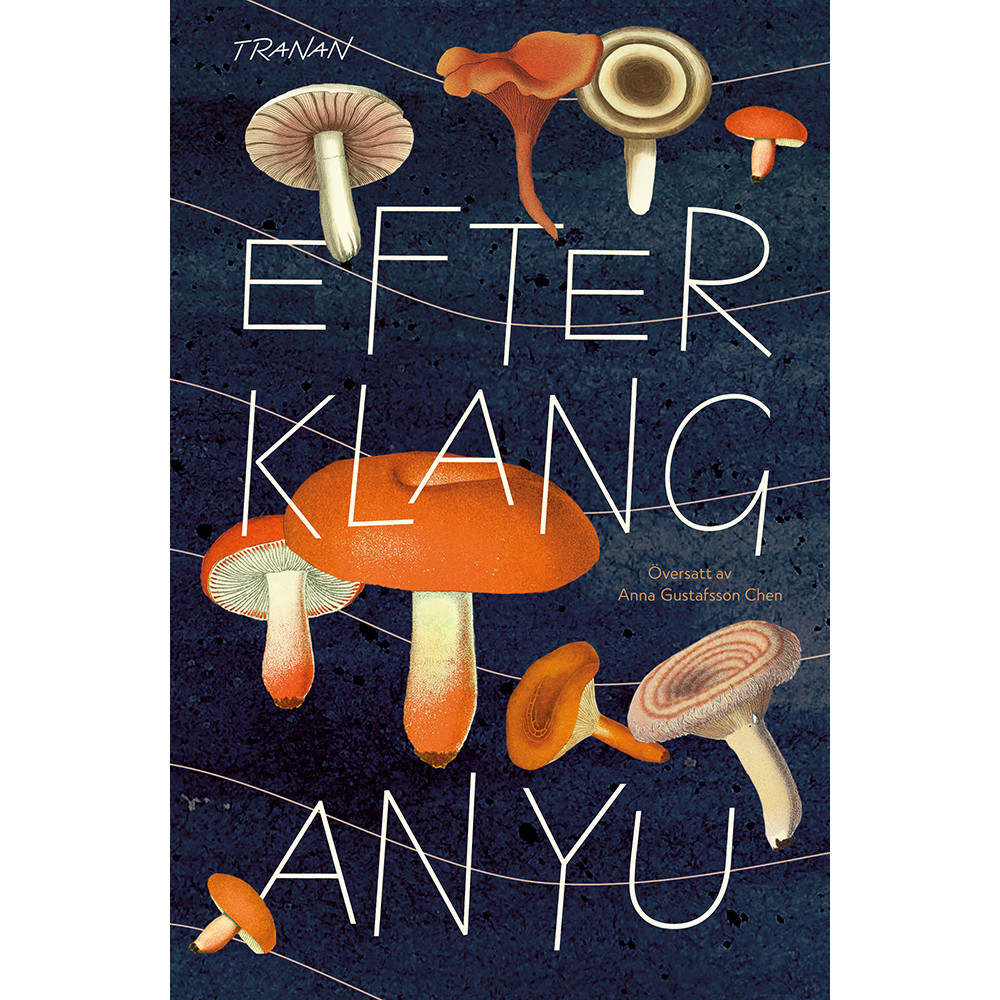 Produktbild för Efterklang (inbunden)
