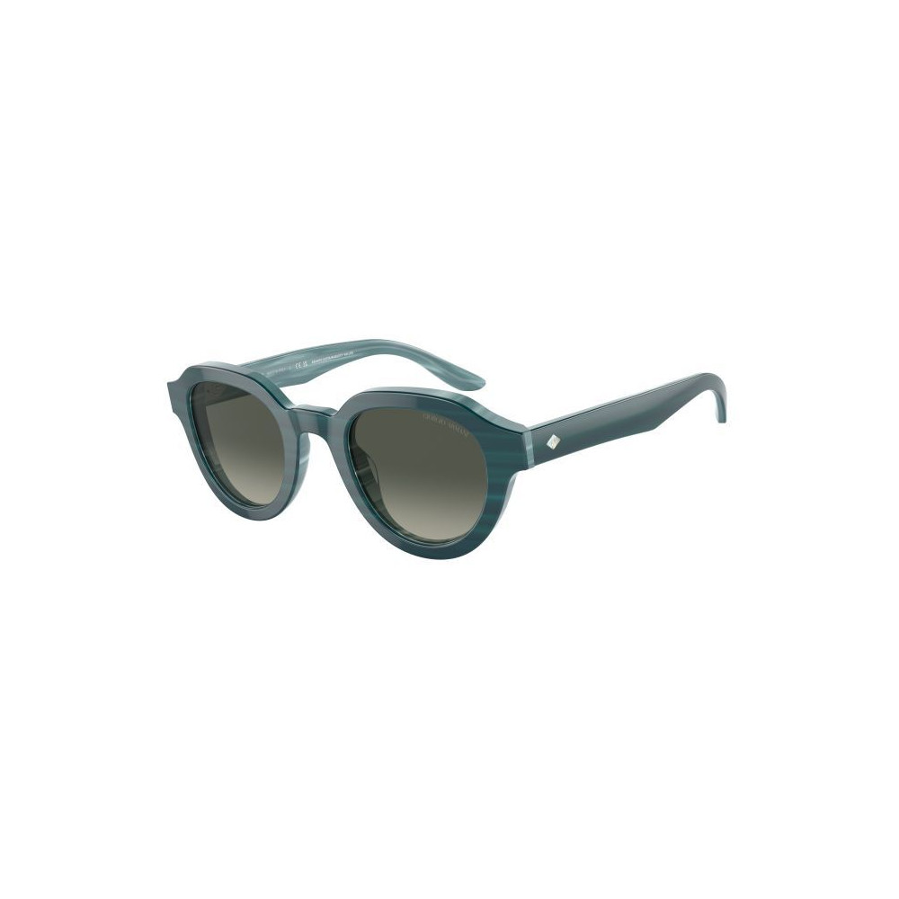 Produktbild för GIORGIO ARMANI AR8172U597071 - Solglasögon Dam (46/24/145)