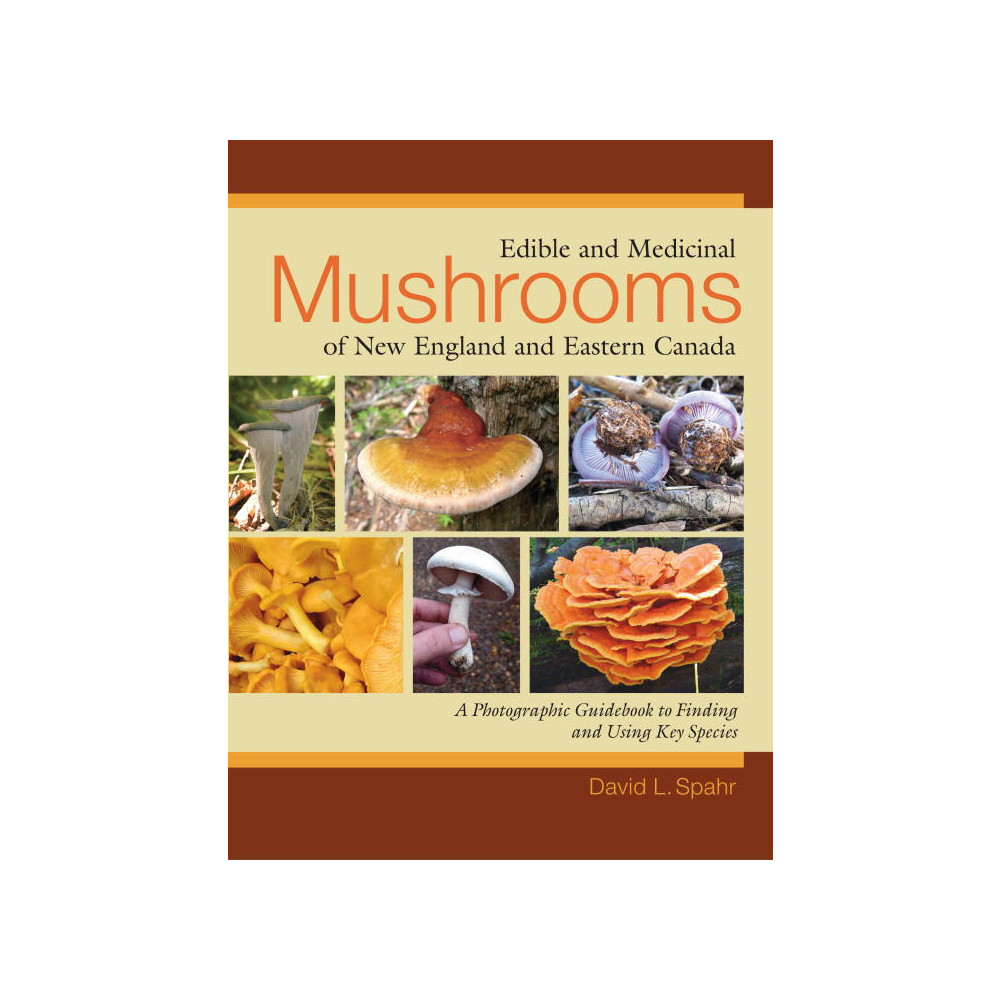 Produktbild för Edible and Medicinal Mushrooms of New England and Eastern Canada (häftad, eng)