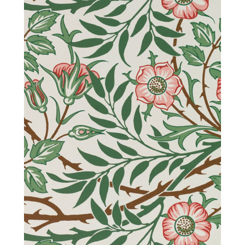 Pomegranate Europe Ltd William Morris Keepsake Boxed Notecards