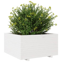 Produktbild för Odlingslåda vit 90x90x49,5 cm massiv furu