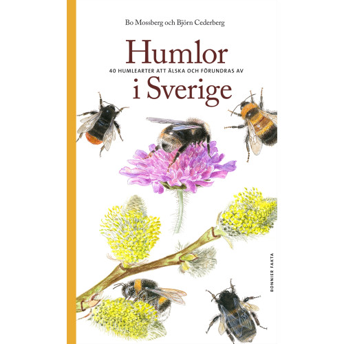 Bo Mossberg Humlor i Sverige : 40 arter att älska och förundras över (bok, flexband)