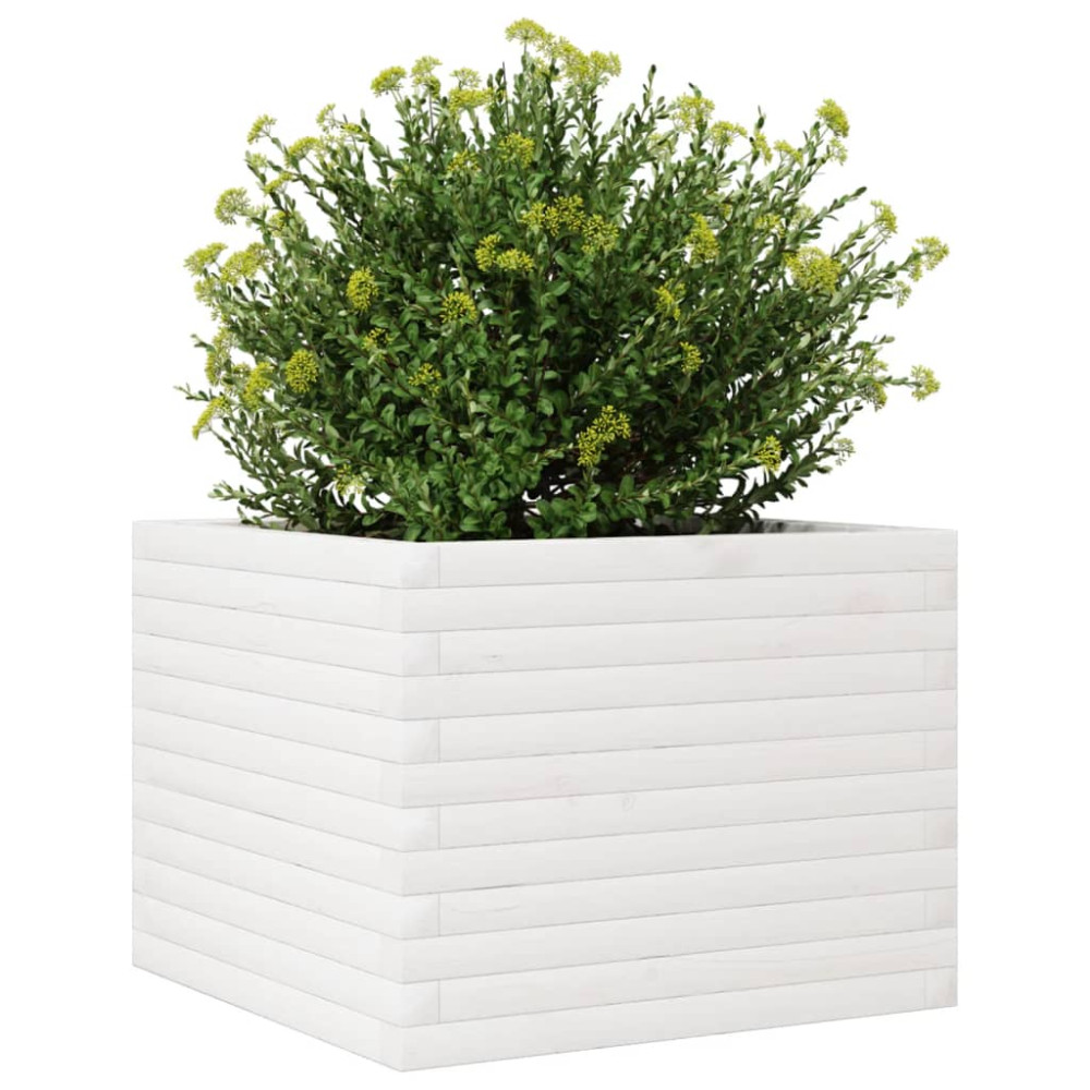 Produktbild för Odlingslåda vit 60x60x45,5 cm massiv furu