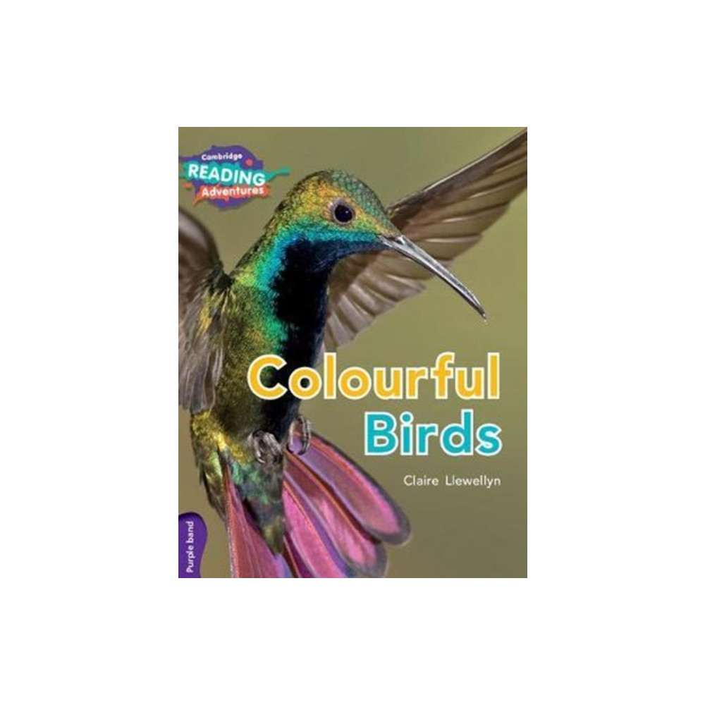 Produktbild för Cambridge Reading Adventures Colourful Birds Purple Band (häftad, eng)