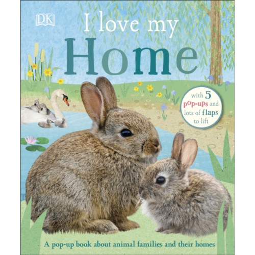 Dorling Kindersley Ltd I Love My Home (bok, board book, eng)