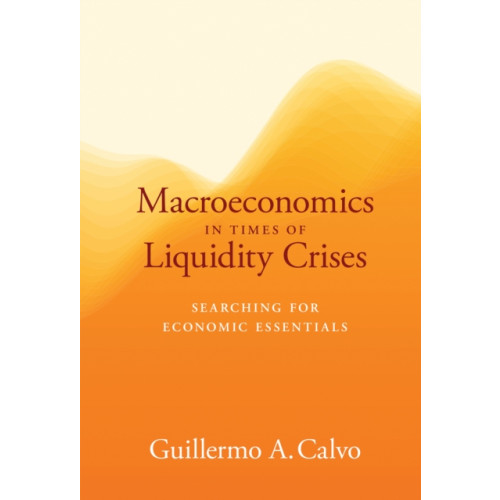 Mit press ltd Macroeconomics in Times of Liquidity Crises (inbunden, eng)