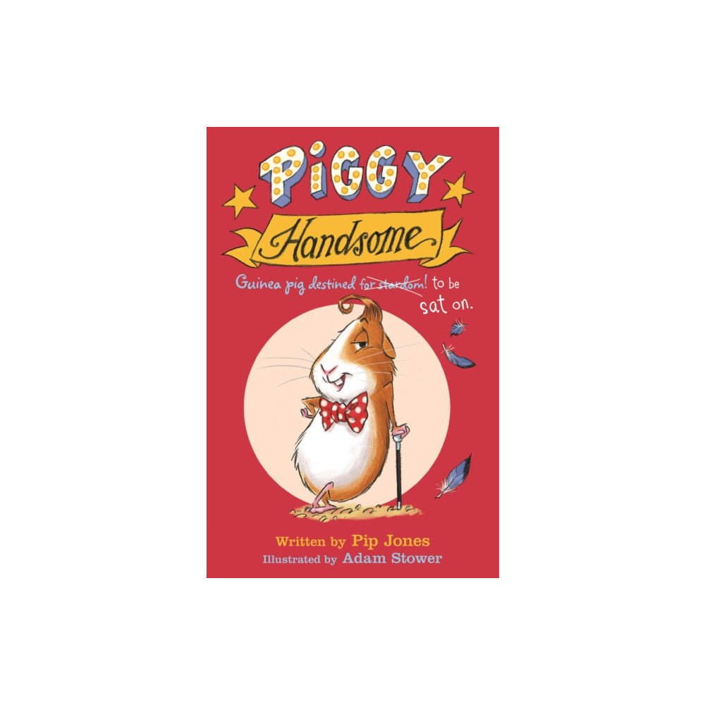 Produktbild för Piggy Handsome (häftad, eng)
