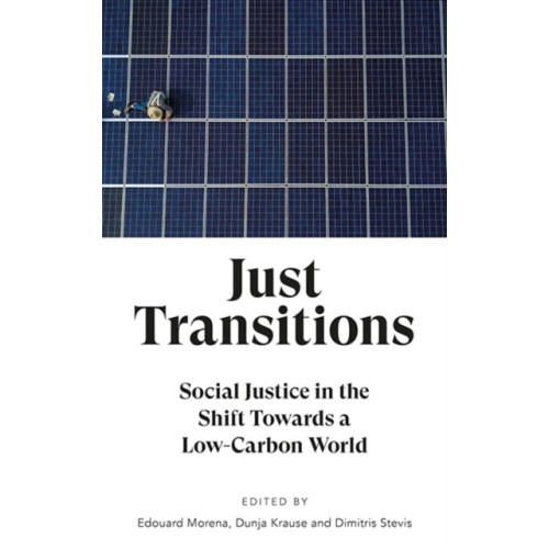 Pluto Press Just Transitions (häftad, eng)