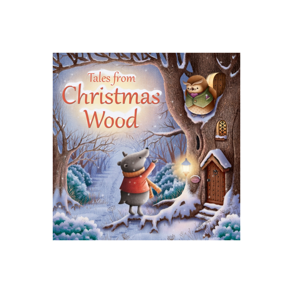 Produktbild för Tales from Christmas Wood (häftad, eng)