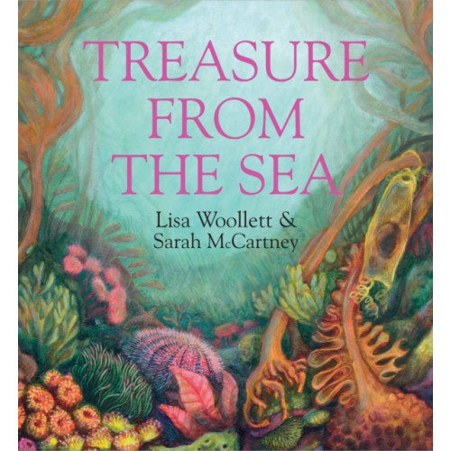 Mabecron Books Ltd Treasure from the Sea (inbunden, eng)