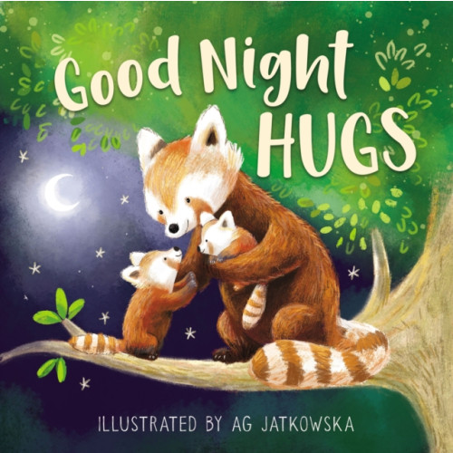 Tommy Nelson Good Night Hugs (bok, board book, eng)