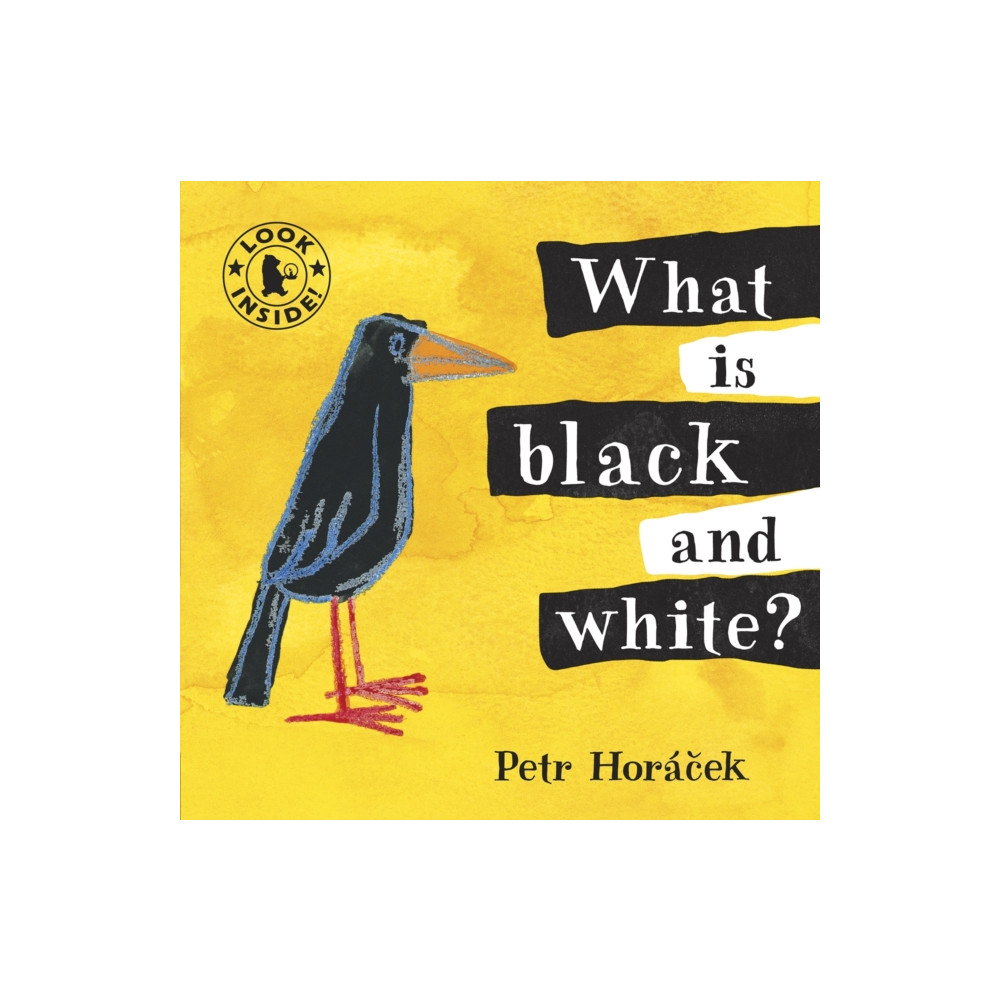 Produktbild för What Is Black and White? (bok, board book, eng)