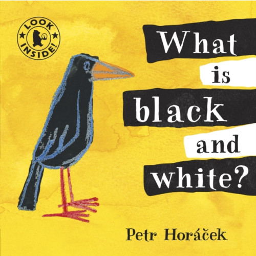 Walker Books Ltd What Is Black and White? (bok, board book, eng)