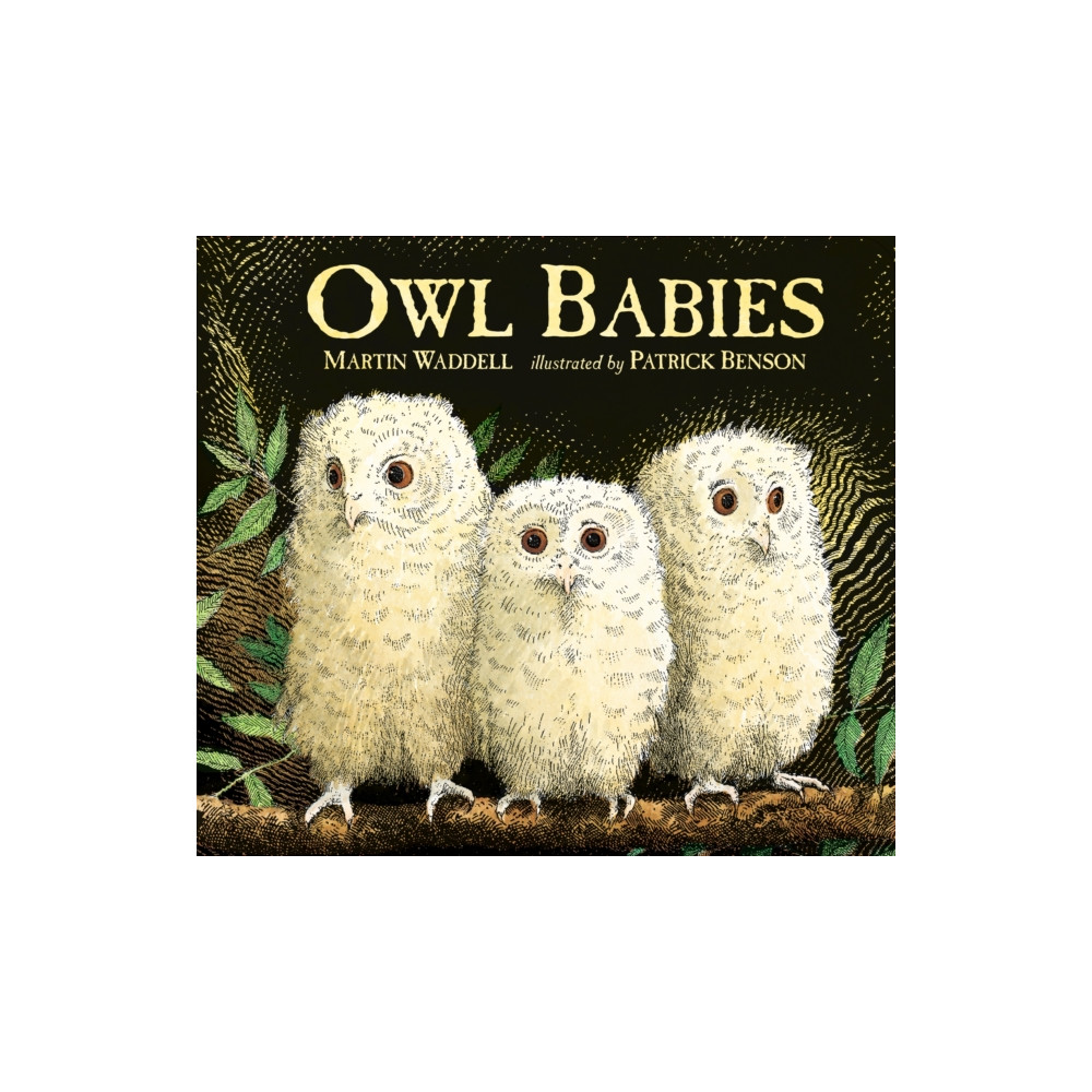 Produktbild för Owl Babies (bok, board book, eng)