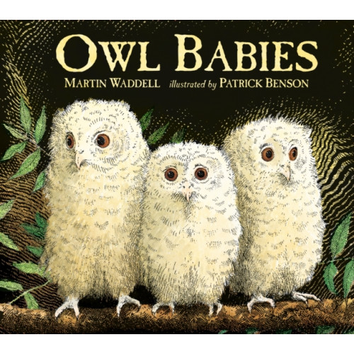 Walker Books Ltd Owl Babies (bok, board book, eng)