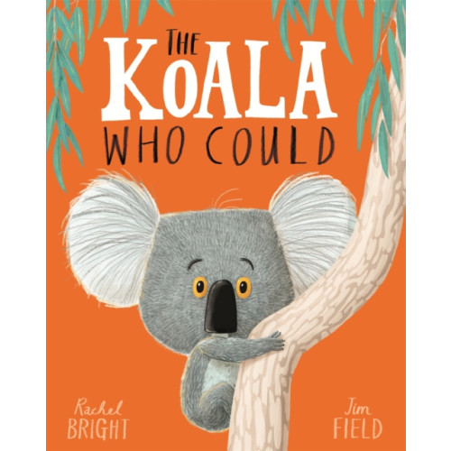 Hachette Children's Group The Koala Who Could (häftad, eng)