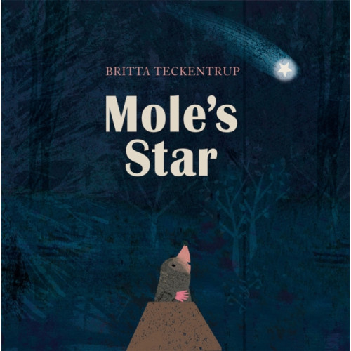 Hachette Children's Group Mole's Star (häftad, eng)