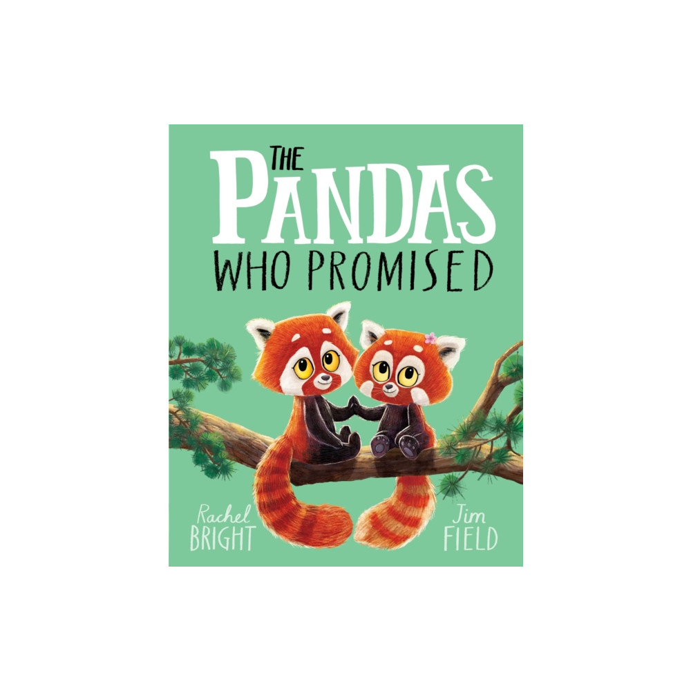 Produktbild för The Pandas Who Promised (häftad, eng)