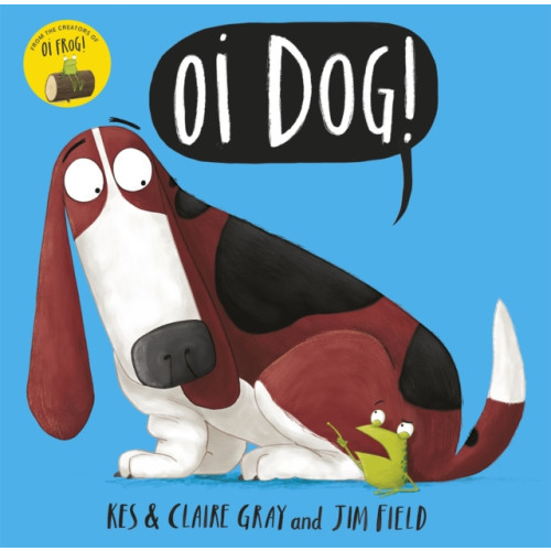 Hachette Children's Group Oi Dog! (häftad, eng)