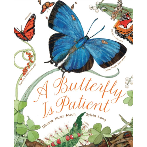 Chronicle Books A Butterfly Is Patient (häftad, eng)