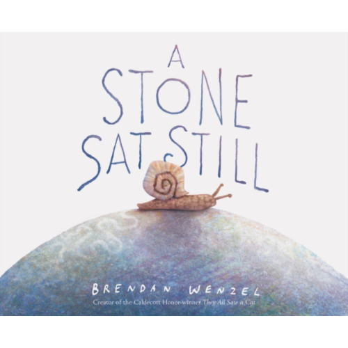 Chronicle Books A Stone Sat Still (inbunden, eng)