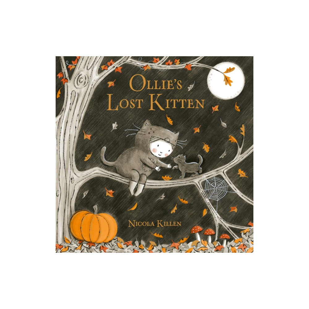 Produktbild för Ollie's Lost Kitten (häftad, eng)