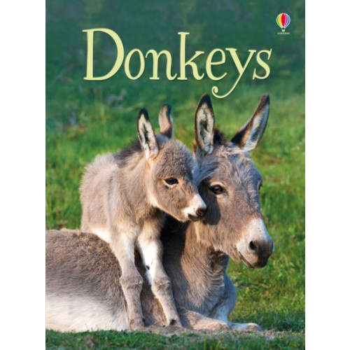 Usborne Publishing Ltd Donkeys (inbunden, eng)