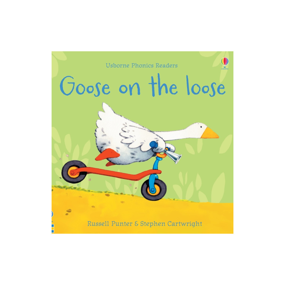 Produktbild för Goose on the loose (häftad, eng)