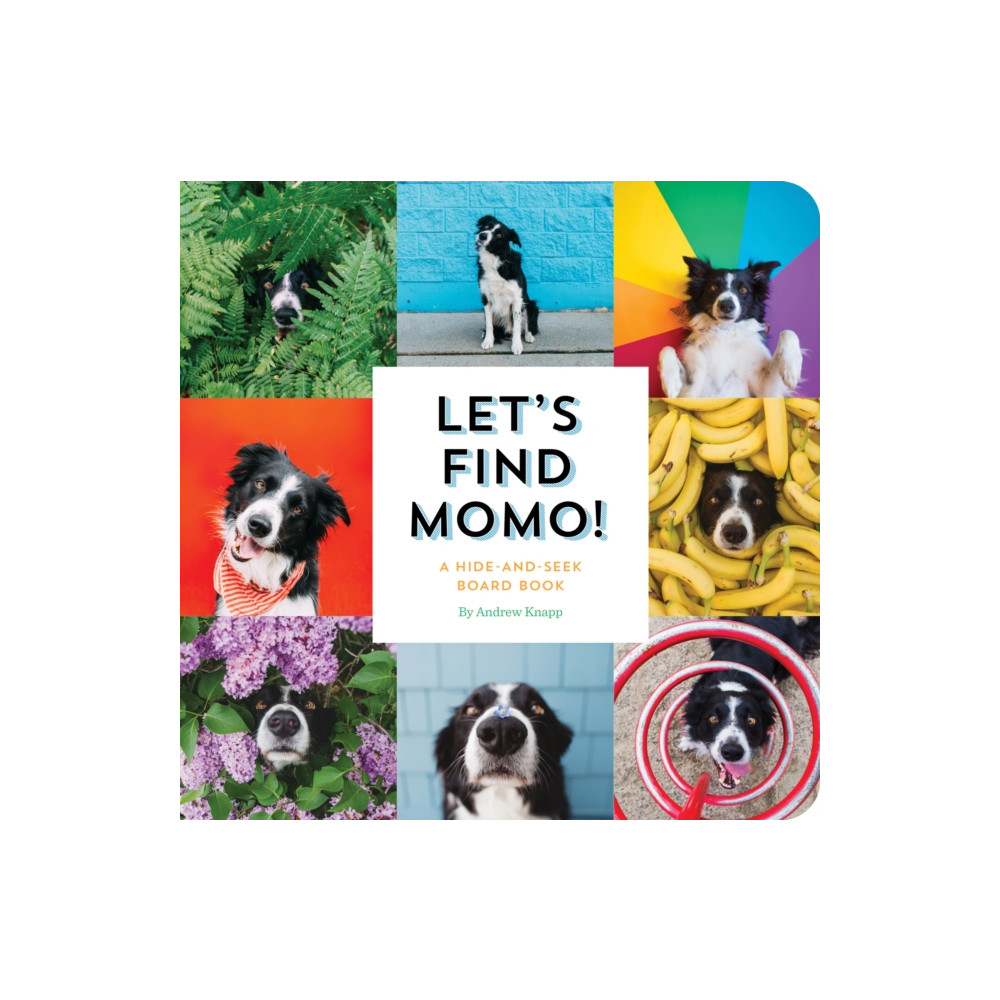 Produktbild för Let's Find Momo! (bok, board book, eng)