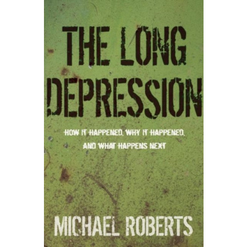 Haymarket Books The Long Depression (häftad, eng)