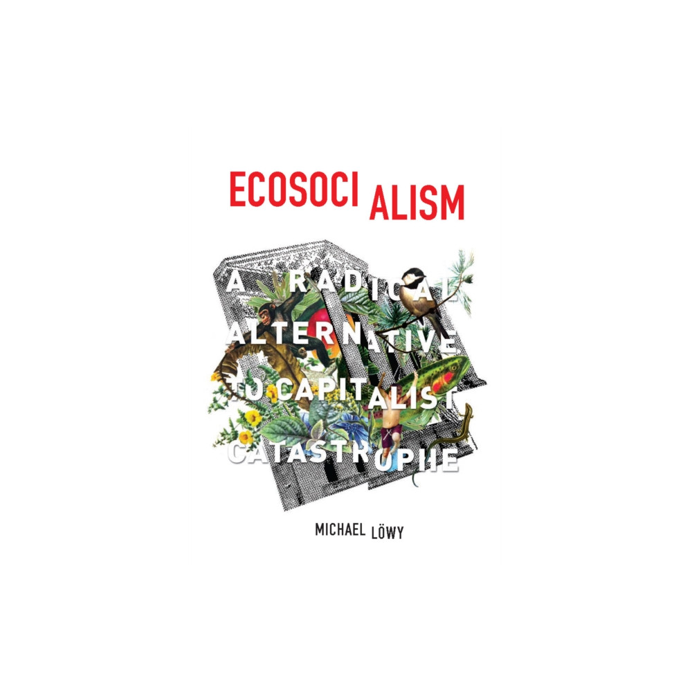 Produktbild för Ecosocialism (häftad, eng)