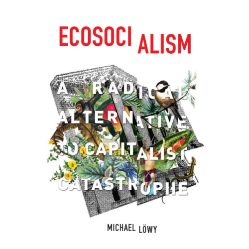 Haymarket Books Ecosocialism (häftad, eng)