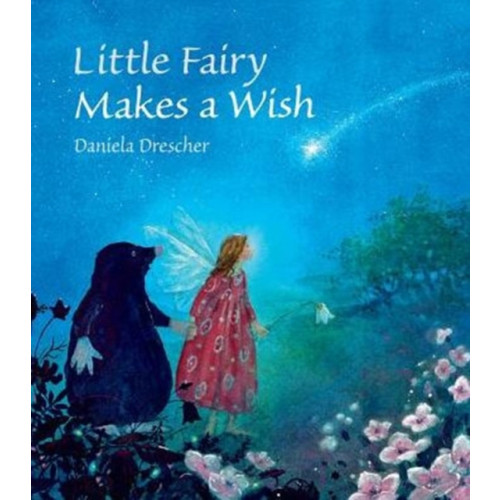 Floris Books Little Fairy Makes a Wish (inbunden, eng)