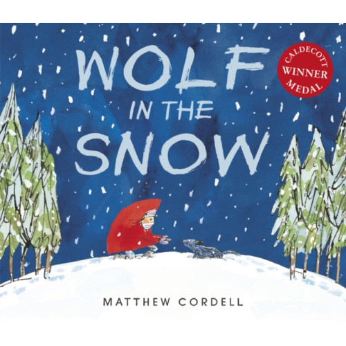 Andersen Press Ltd Wolf in the Snow (häftad, eng)