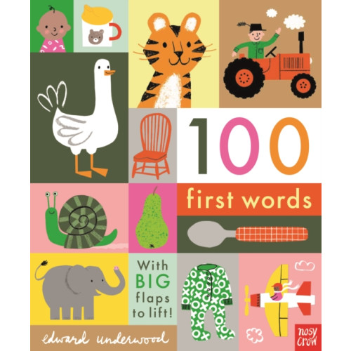 Nosy Crow Ltd 100 First Words (bok, board book, eng)