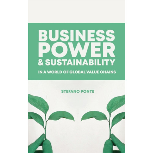 Bloomsbury Publishing PLC Business, Power and Sustainability in a World of Global Value Chains (häftad, eng)