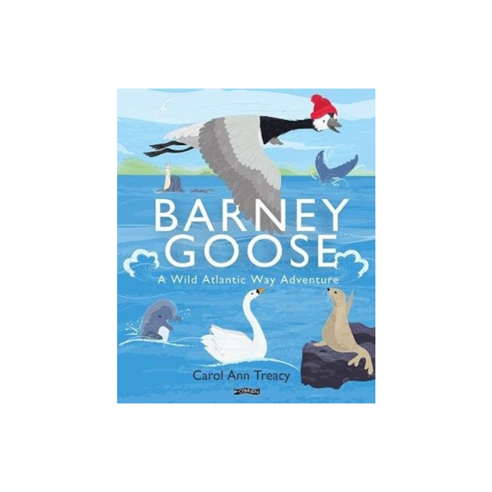 Produktbild för Barney Goose (inbunden, eng)