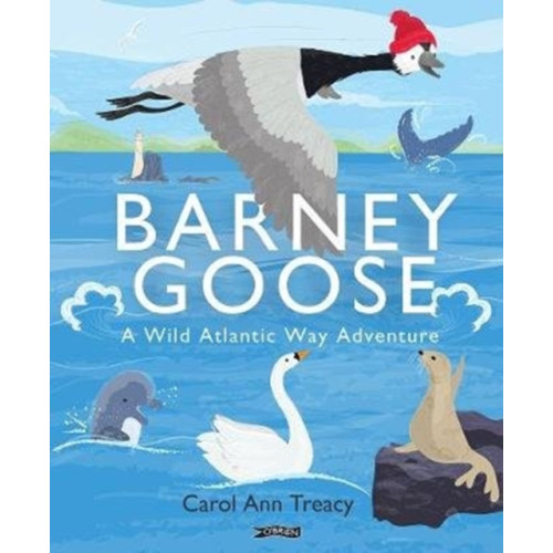 O'Brien Press Ltd Barney Goose (inbunden, eng)