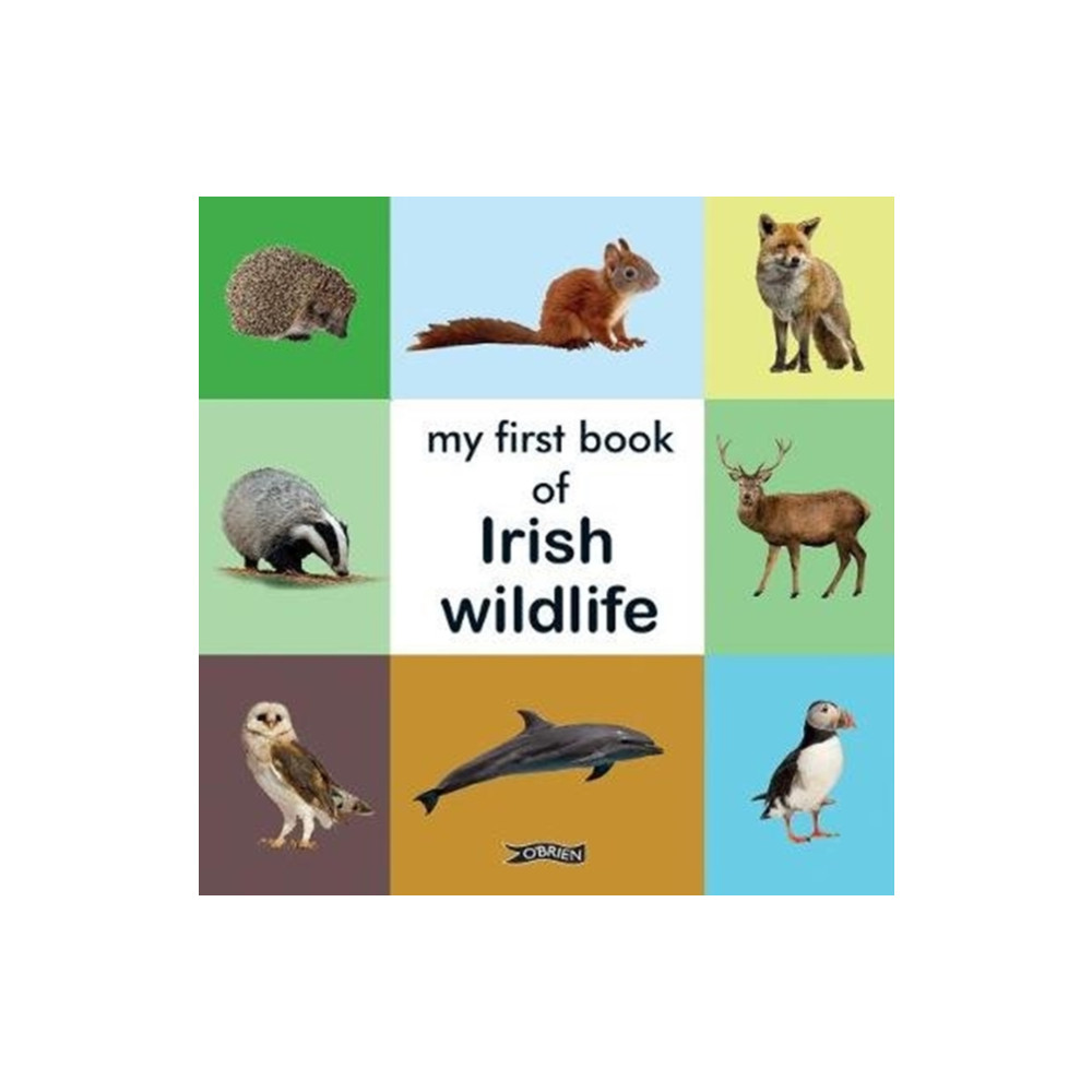 Produktbild för My First Book of Irish Wildlife (bok, board book, eng)
