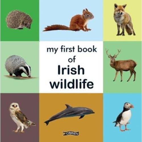 O'Brien Press Ltd My First Book of Irish Wildlife (bok, board book, eng)